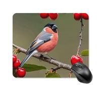 Red-Bellied Gray Finch with Cherry Mouse Pad Square Mice Mat Waterproof Computer Mousepad with Non-Slip Rubber Base Wireless Mice Pad for Laptop Office Home Personalized Gaming Mousepad 25 * 30cm