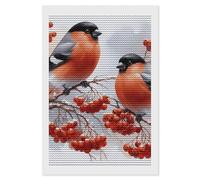 Red-bellied Grey Finch 5D DIY Diamond Art Kits for Adults Diamond Paintings Kits for Beginners with Complete Tools Paint by Diamonds Dot Full Drill Round Art Crafts,Home Wall Art Decor 8"x12"