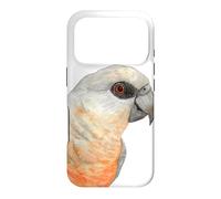 red-bellied parrot Poicephalus watercolor portrait Case for iPhone 17 Pro