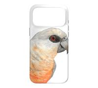 red-bellied parrot Poicephalus watercolor portrait Case for iPhone 17 Pro Max