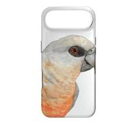 red-bellied parrot Poicephalus watercolor portrait Case for iPhone Air