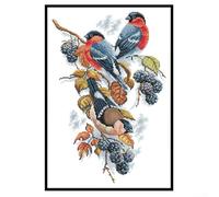 Red Bellies Magpies Cross Stitch Kit Contains Everything Needed to Start Embroidery Including Tools Threads and Step by Step Guide (14CT)