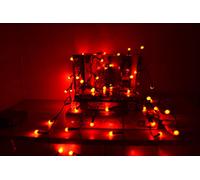 Red Berry LED Fairy String Lights - 8 Mode, Pack of 200 Waterproof Decorative Indoor/Outdoor Lights for Christmas, Wedding & More - Battery Powered