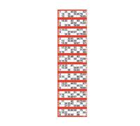 RED BINGO TICKETS 36,000 FLYERS JUMBO BRAND 12TV QUICKIES 3 X 12,000