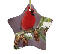 Red Bird On Branch Double-Sided Printed Ceramic Star Christmas Ornament With Gold Hanging Cord-Festive Holiday Decoration For Home,Store, Christmas Tree