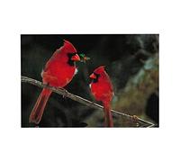 Red Birds Fauna Wild Puzzle, 300 Piece Jigsaw Puzzl, 15â€X10.2â Wood, Environmentally Friendly, No Odor Challenging, for Adult and Kids Family, Wedding, Graduation, Gift