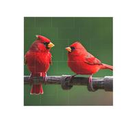 Red Birds Print Building Brick Block Puzzle Square Creative Building Blocks Jigsaw Home Desk Decor