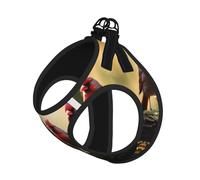 Red Birds Print Step in Dog Harness and Leash Set,Mesh Pet Vest Harness for Small Dogs and Cats