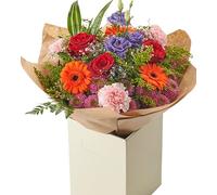 Red Blish Fresh Flower Bouquet of Rose, Gerbera Bright Arrangement for Delivery Birthday Celebrations, Anniversary, Get Well, Thank You, Indoor Floral Festive Christmas, Halloween, Gift Weddings