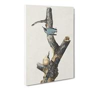 Red Breasted Nuthatch Birds By John James Audubon Canvas Print | Gallery Wrapped 30mm Frame Wall Art | 20x14 inches | Ready to Hang | Retro Bird Picture | Living Room Bedroom Lounge Office