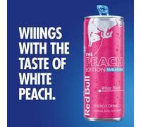 Red Bull SF Summer 2025 Edition 250ml 4pk