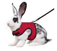 Red Bunny Harness and Leash, Escape Proof Rabbit Harness and Leash Set, Cute Bunnies Vest Clothes Stuff Accessories - Suit for 4-6 Months Rabbit/Ferret 6+Months Guinea Pig, L