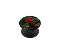 Red cardinal bird in the forest PopSockets Adhesive PopGrip