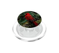 Red cardinal bird in the forest PopSockets PopGrip for MagSafe