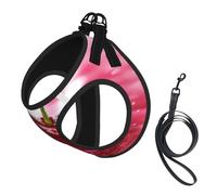 Red Cherries print Dog Harness and Leash Set, Reflective Adjustable Puppy Vest for Small Medium Large Dogs, Cats