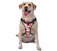 Red Cherries Printed,Pet Harness,Adjustable Reflective Dog Harness,Pet Leash Vest,XL