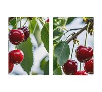 Red Cherry Pattern Passport Holder for Travel PU Leather Passport Wallet Cover Organize Your Passports & Cards