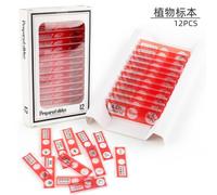 (red) Children's Microscope Specimen Animal And Plant Insect Biological Slice Science Small Making Experimental Toys