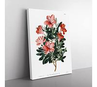 Red Chinese Azalea Vintage Canvas Wall Art Print Ready to Hang, Framed Picture for Living Room Bedroom Home Office Décor, 76x50 cm (30x20 Inch)