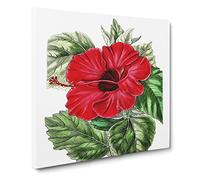 Red Chinese Rose Canvas Print | Gallery Wrapped 30mm Frame Wall Art | 20x20 inches | Ready to Hang | Modern Floral Picture | Living Room Bedroom Lounge Office