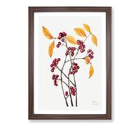 Red Chokeberry by Mary Vaux Walcott Framed Print | A2 Walnut Framed Wall Art | Ready to Hang | Modern Nature Picture | Living Room Bedroom Lounge Office