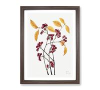 Red Chokeberry Flowers By Mary Vaux Walcott Vintage Framed Wall Art Print, Ready to Hang Picture for Living Room Bedroom Home Office Décor, Walnut A2 (64 x 46 cm)