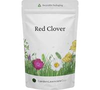 Red Clover Seeds 100g for Lawns, Wildflower Seeds and Green Manure - Grow your own Pollinator Friendly Meadow Garden - Garden Lawncare Guy