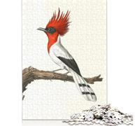 Red-Crested Bird Illustration Puzzle Jigsaws 500 Pieces for Adults Puzzle Jigsaws for Adults Brain Teaser Puzzle 500pcs (52x38cm)
