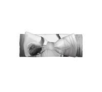 red-crowned crane Printed baby bow headband - super soft elastic headband, suitable for newborns, parties, photo shoots and daily wear,