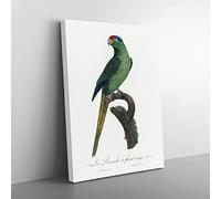 Red Crowned Parakeet By F. Levaillant Vintage Canvas Wall Art Print Ready to Hang, Framed Picture for Living Room Bedroom Home Office Décor, 76x50 cm (30x20 Inch)