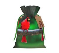 Red Cute Birds Print Christmas Drawstring Gift Bags With Cards For Xmas Party Decorations Holiday