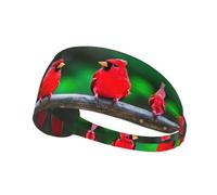 Red Cute Birds Print Wide-Brimmed Fashionable Elastic Exercise Headband for Running and Workouts