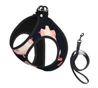 Red Cute Piggy Print Dog Harness Vest for Small Pets M | Small Sized Leash Set Soft Light Puppy Breathable Mesh Reflective Training Walking Adjustable Circumference