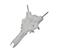 Red Deer Skull for Mounting Antlers-Deer Skull Mount Kit-Compatible with Harvested and Shed Antlers-European Style