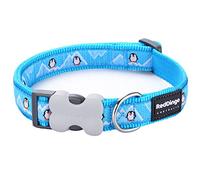 Red Dingo Bucklebone Dog Collar Design, Penguin Turquoise, Small 15mm