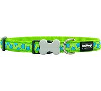 Red Dingo Bucklebone Dog Collar Design, Stars Turquoise on Lime Green, Medium 20mm