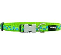 Red Dingo Bucklebone Dog Collar Design, Stars Turquoise on Lime Green, Small 15mm