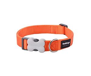 Red Dingo Bucklebone Dog Collar Plain, Orange, Small 15mm