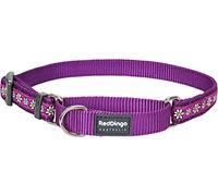 Red Dingo Designer Martingale Dog Collar, Large, Daisy Chain Purple