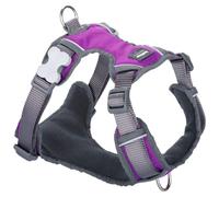 Red Dingo Dog Harness Dingo 62-108 cm 72-112 cm Purple XL