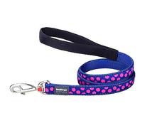 Red Dingo Hot Pink Spots on Blue Lead Small