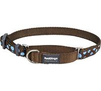 Red Dingo Martingale Collar, 32-47 cm x 20 mm, Blue Spots on Brown