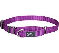 Red Dingo Martingale Dog Collar, 25 mm, Large, Plain Purple