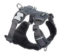 Red Dingo Padded Dog Harness Plain,Cool Grey, Extra Small 12mm