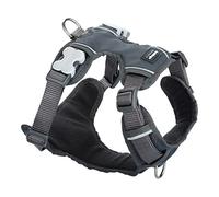 Red Dingo Padded Dog Harness Plain,Cool Grey, Medium 20mm