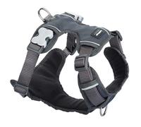 Red Dingo Padded Dog Harness Plain,Cool Grey, Medium 20mm