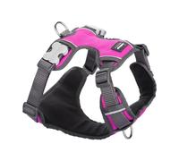 Red Dingo Acolchado Dog Harness Pink XS