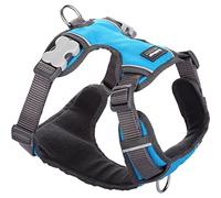 Red Dingo Padded Dog Harness Plain, Turquoise, Extra Large 25mm