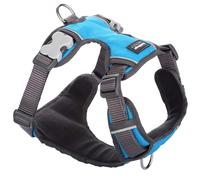 Red Dingo Padded Dog Harness Plain, Turquoise, Extra Large 25mm