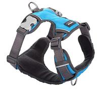 Red Dingo Padded Dog Harness Plain, Turquoise, Extra Small 12mm